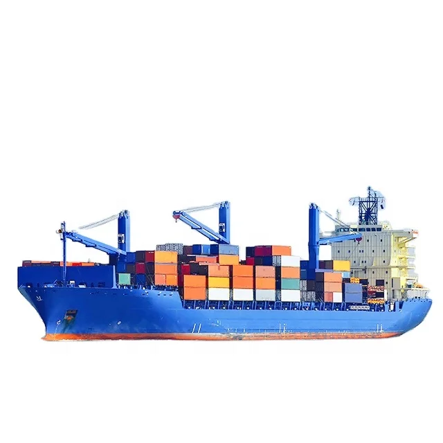 FBA Best Seller Shipping Agent Sea Freight China to UK/France/Spain/Italy/Germany/Poland/Portugal by DDP