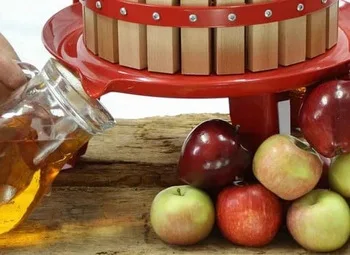 High Quality  6L Classical fruit press juicer grape wine filtermanual press for home use
