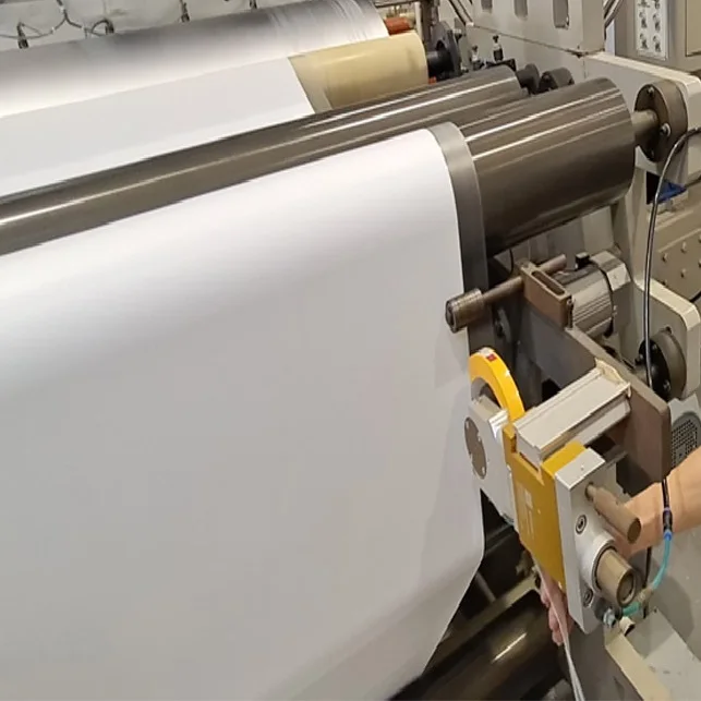 150-350gsm Single/Double Side PLA coated PE Coated Paper in Sheet