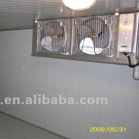 
cold warehouse/cold room/cold storage container for meat or vegetables 
