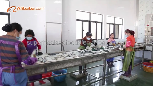 50-200g HGT Jerk Filefish Leather Jacker fish