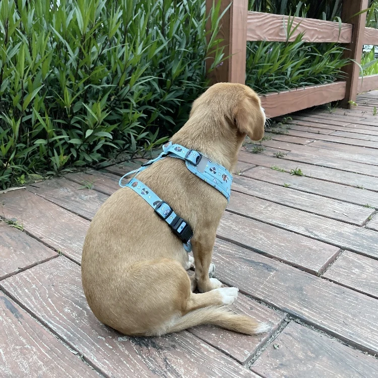 2022 Manufacturers No Pull Pet Harness Reversible Dog Harness set design Custom Adjustable dog harness with reflective logo