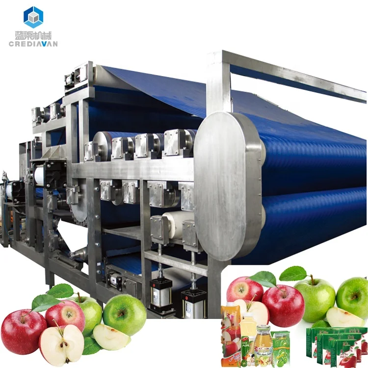 Fresh fruit tomato garlic paste machine fruit processing line equipment