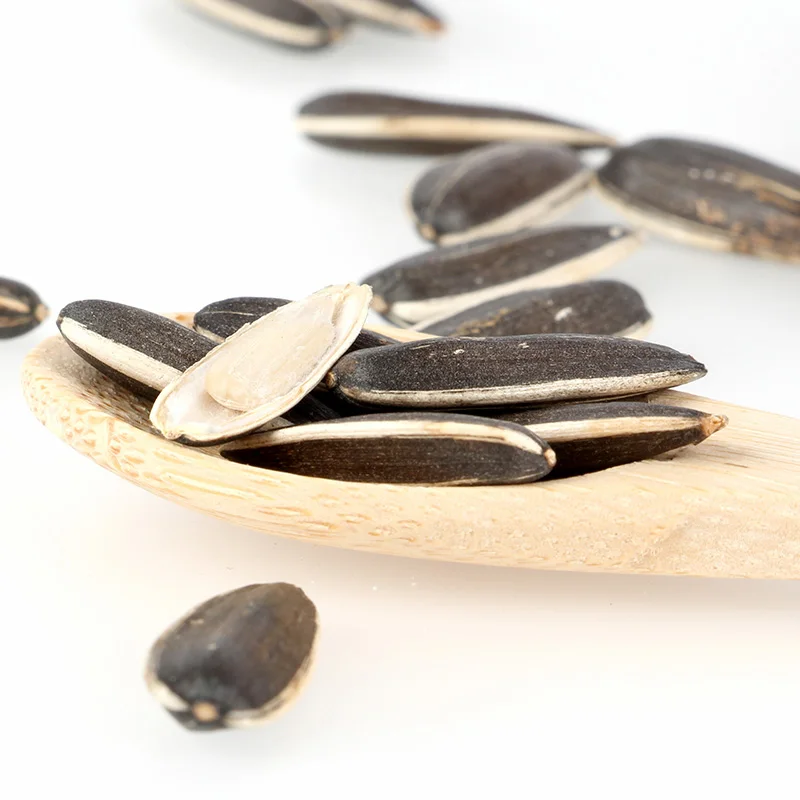 purple sunflower seeds pictures