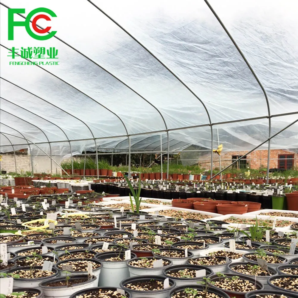 Low cost greenhouse China factory manufacture covered plastic film in wholesale
