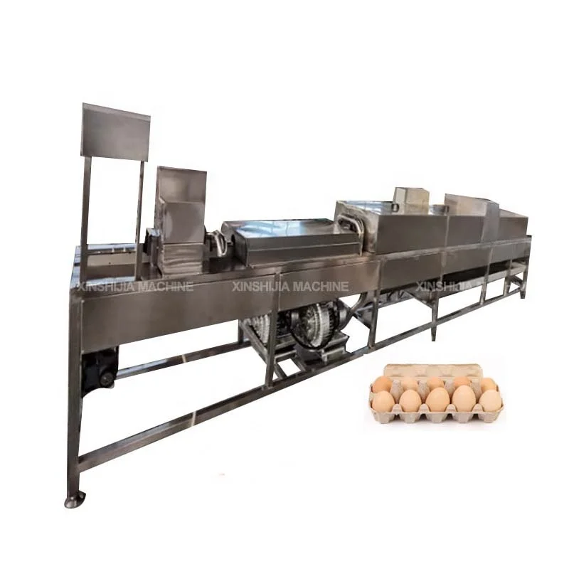 Stainless steel automatic commercial poultry chicken salted duck goose egg cleaning washing processing equipment for sale