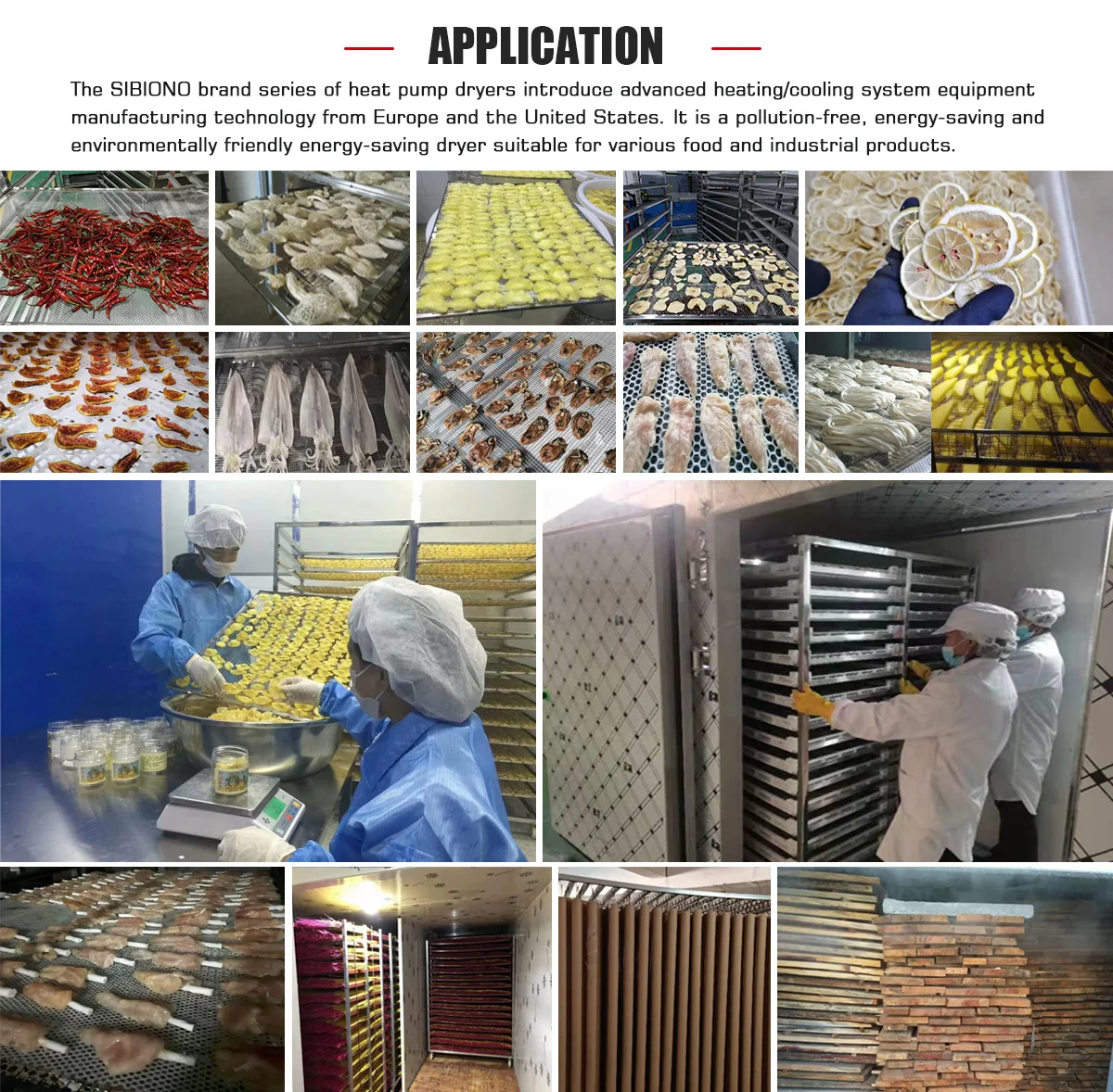 Reduce investment costs for you, sell at wholesale prices Okra Drying Machine Vegetable Heat pump Dryer Dehydrator Equipment