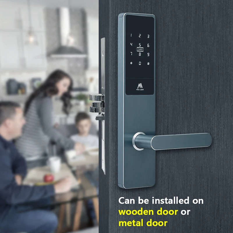 Network code lock OEM acceptable smart hotel management system Airbnb Apartment Hotel door lock