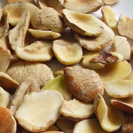 Ogbono Nut Para Nut Paradise Nut Pecan