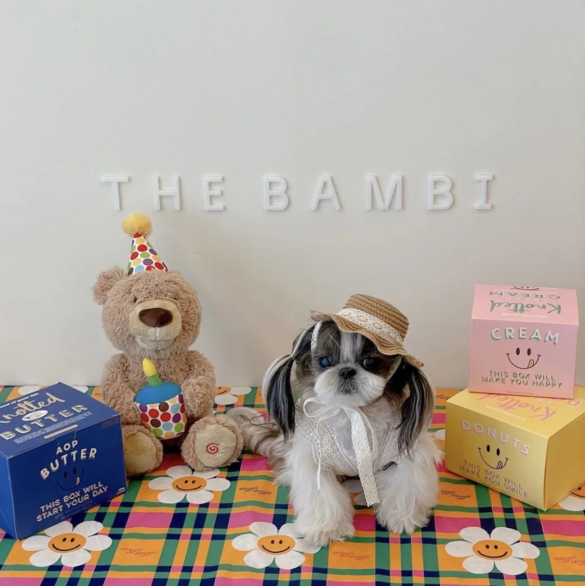 HOT Selling Cat Pet Dog Hat Small Dog Teddy Bear Sunscreen Hat Pastoral Style Decoration Photo Headdress Cute Sunshade Hat