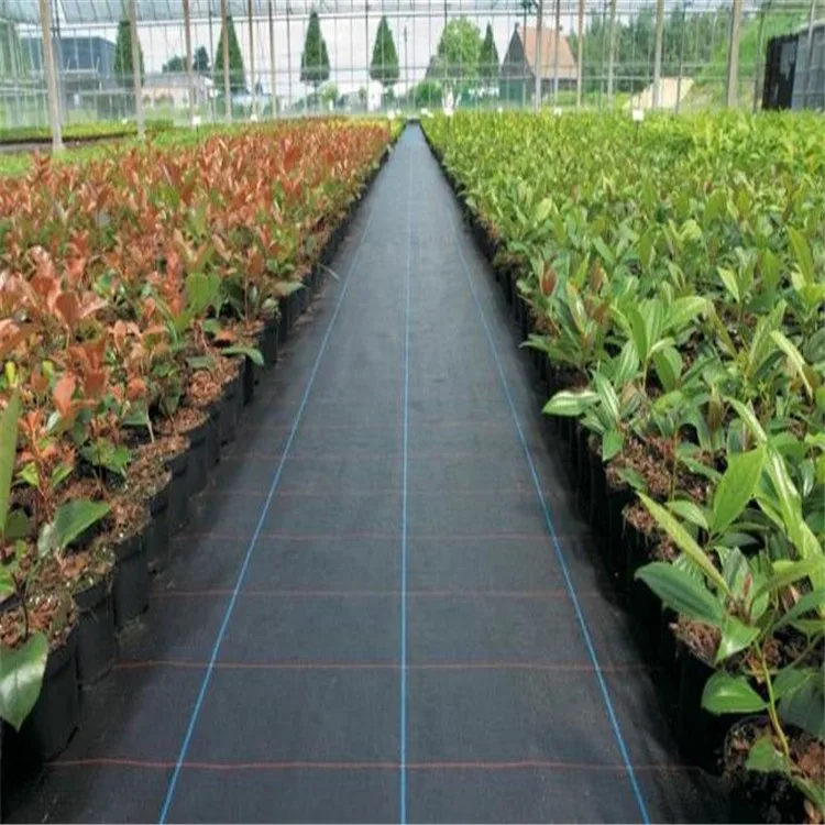Black 100g/m2 factory direct selling ground cover for greenhouse