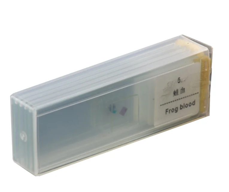 Bacillus subtilis smear microscope prepared slides