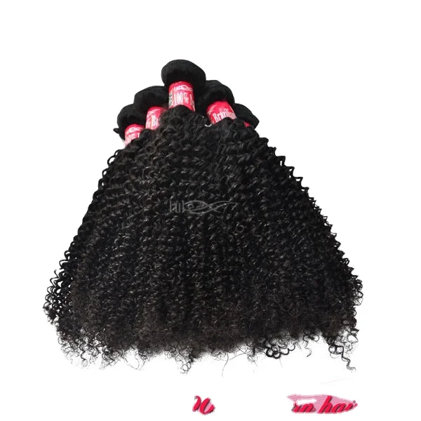 Hair Style Afro Curly Hair Braids In Human Hair Extensions
