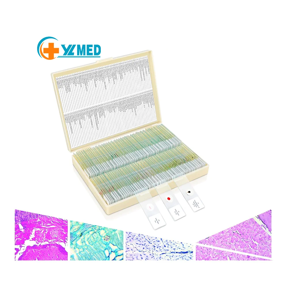 medical science  and best price 50pcs sets of kids learning biology prepared microscope slides for middle school students