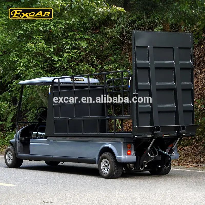 EXCAR Electric utility Cart 48V 2 seats Electric Golf Cart hotel buggy car electric truck