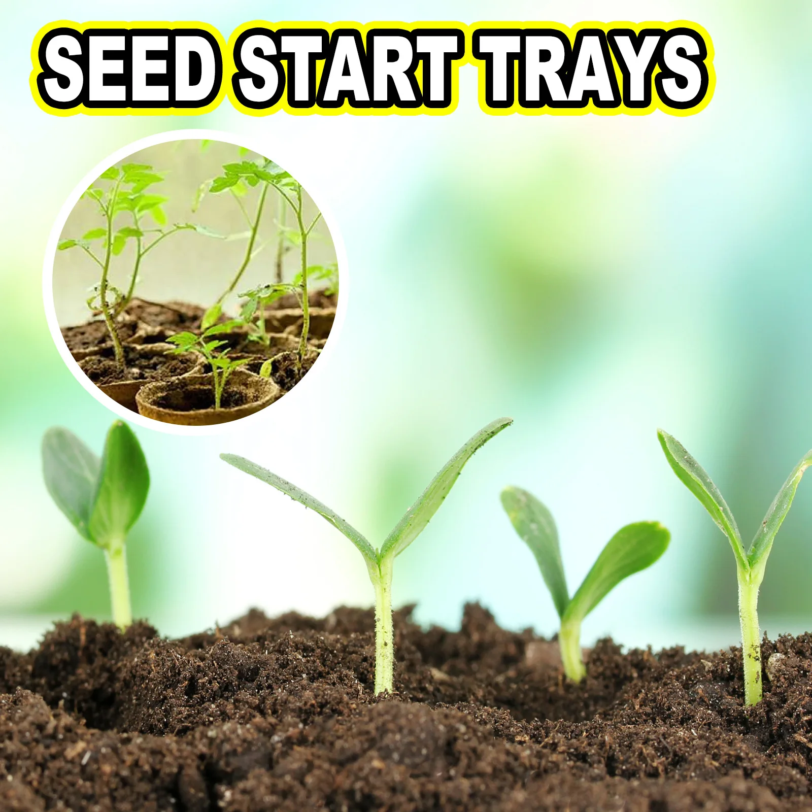 YEGBONG OEM&ODM Seedling Starter Tray Plant Germination Box Seed Nursery Cup Organic Biodegradable Pot Seed Tray Planting Tools