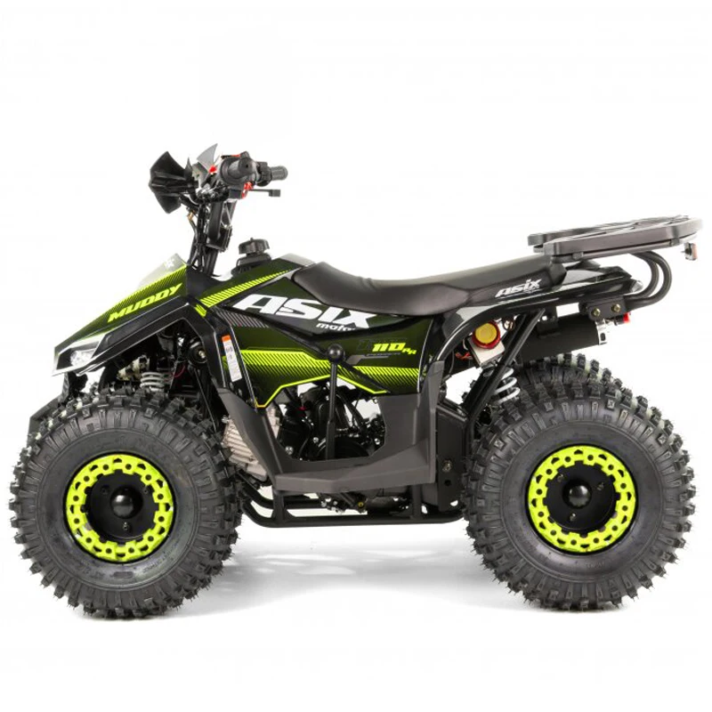 Tao Motor 2024 Kid Automatic with Reverse Chain Drive Mini Quad Bike 110cc ATV for Children