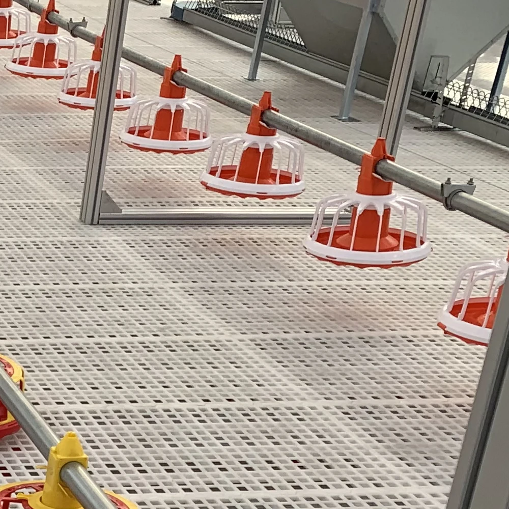 
Complete Poultry Project Solution Supplier!!Poultry automatic used broiler equipment Farm Broiler Pan Feeding System 