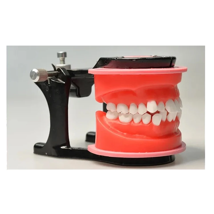 Вощеная typodont Стоматологическая typodont ортодонтический воск для моделирования зубов тренировки арочный провод системы