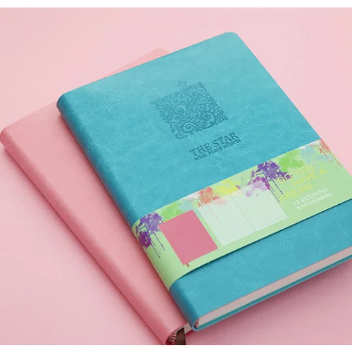 Professional Factory A5 PU leather diary 2023 day planner notebook