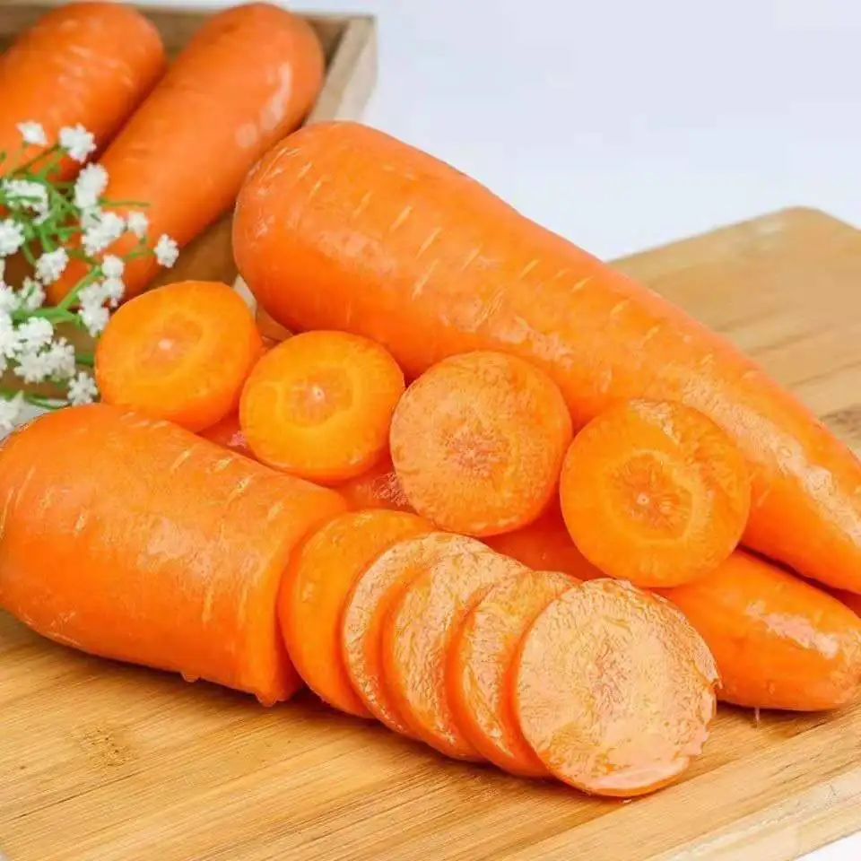 Popular hot selling china shandong carrot fresh vegetables seasonal high quality carrots