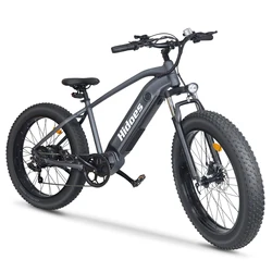US Hidoes B5 Wholesale Price Buy Electric Bike | Fat Tire Electric Bicycle | Factory Direct Sale Electric Bicycle Ebike E Bike