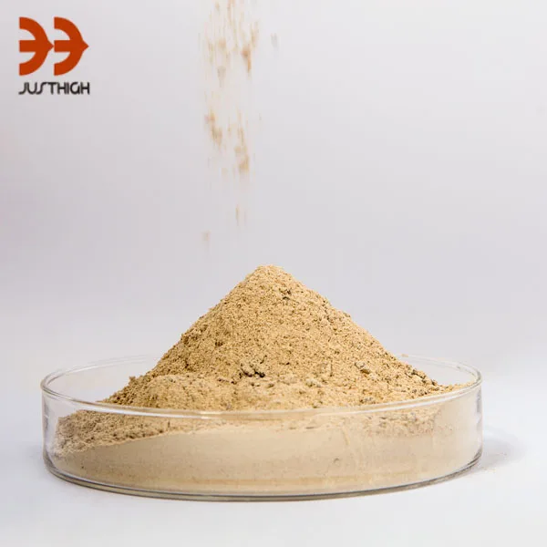 EAF (electrical arc furnace) Bottom  Dry Mgo Ramming Mass