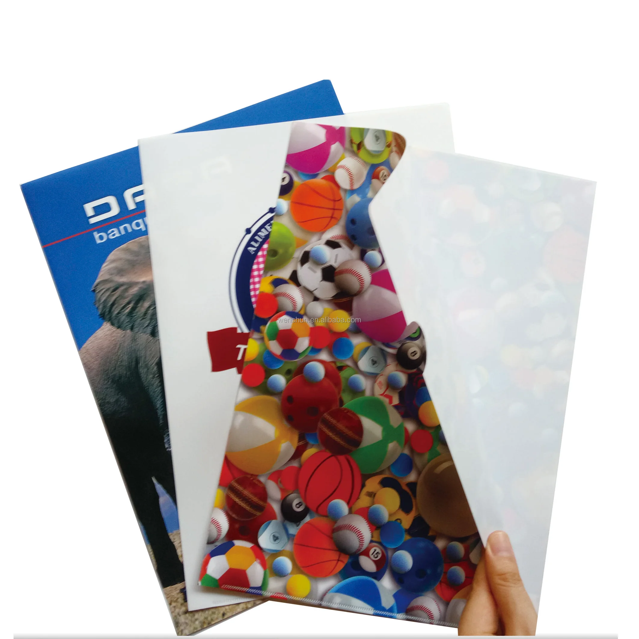 Newest Design Top Grade Custom Printing L Shape File Folder with Back Pocket