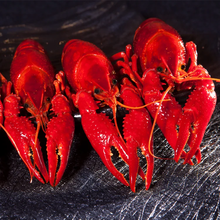 Bulk Wholesales Cheap Price Seafood Cooked Crayfish Frozen