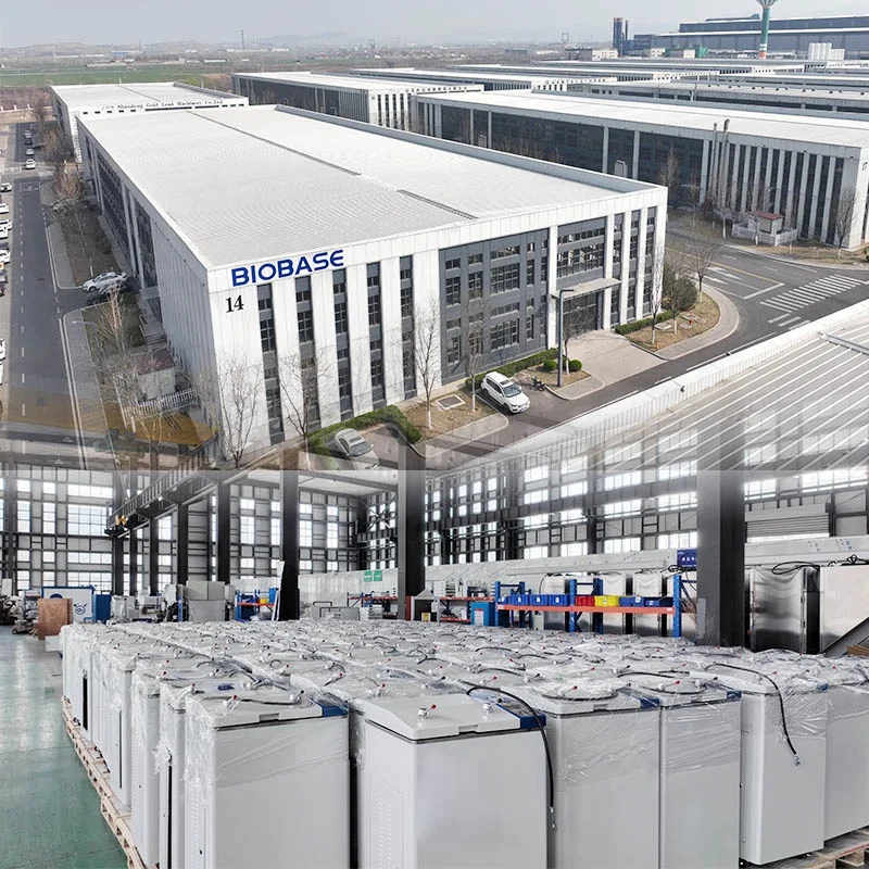 Biobase China -40 Degree Freezer Direct Refrigeration Vertical freezer For Hospital for Laboratory