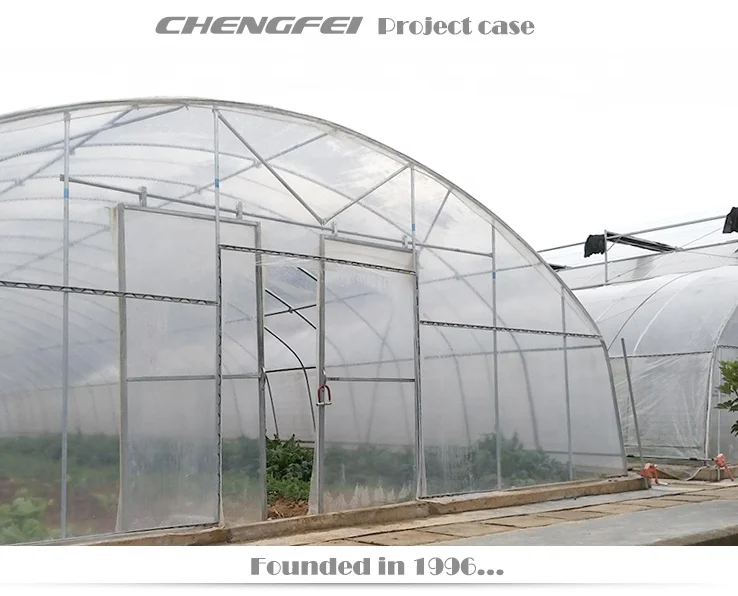 Commercial single-span agricultural tunnel plastic film vegetable tomato greenhouses supplier