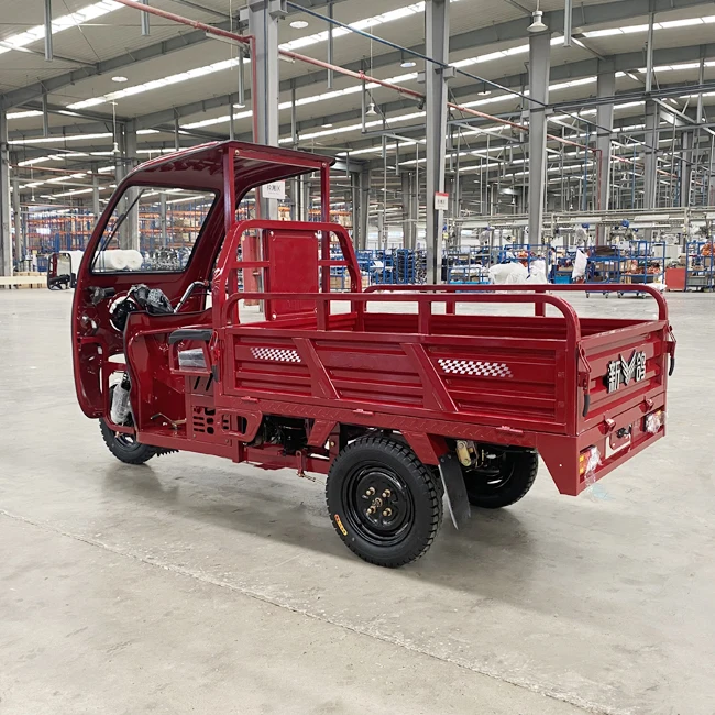 Tanzania Gasoline Engine 200 CC Water-cooled Cargo Tricycle With Awning