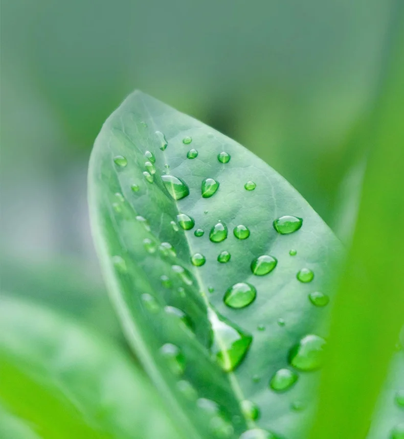 High Quality Biofertilizer chelated zinc fertilizer hydroponic fertilizer for agricultural