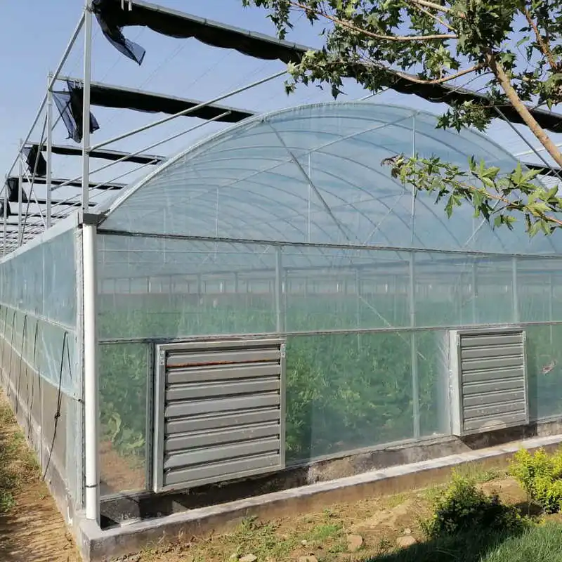 high quality big span garden multispan greenhouses for sale made in China