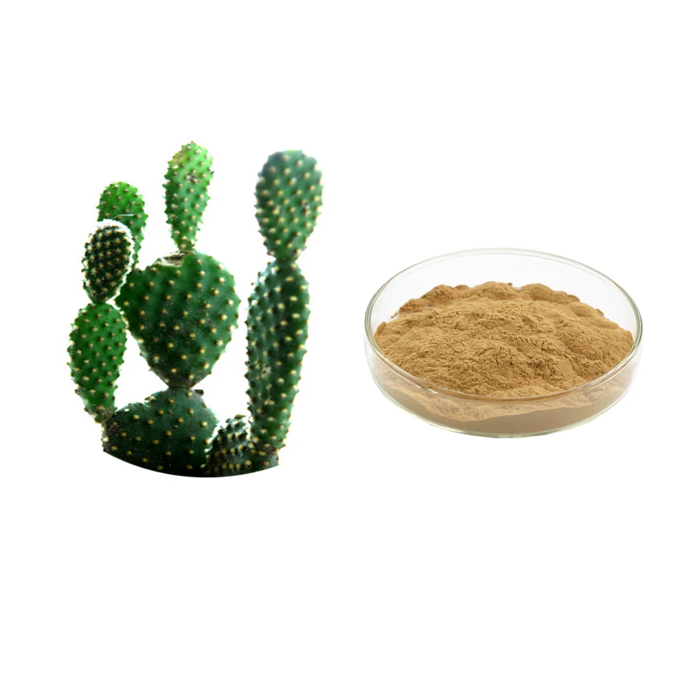 Экстракт Кактуса Порошок TLC 20:1 Opuntia dillenii Haw растительный экстракт
