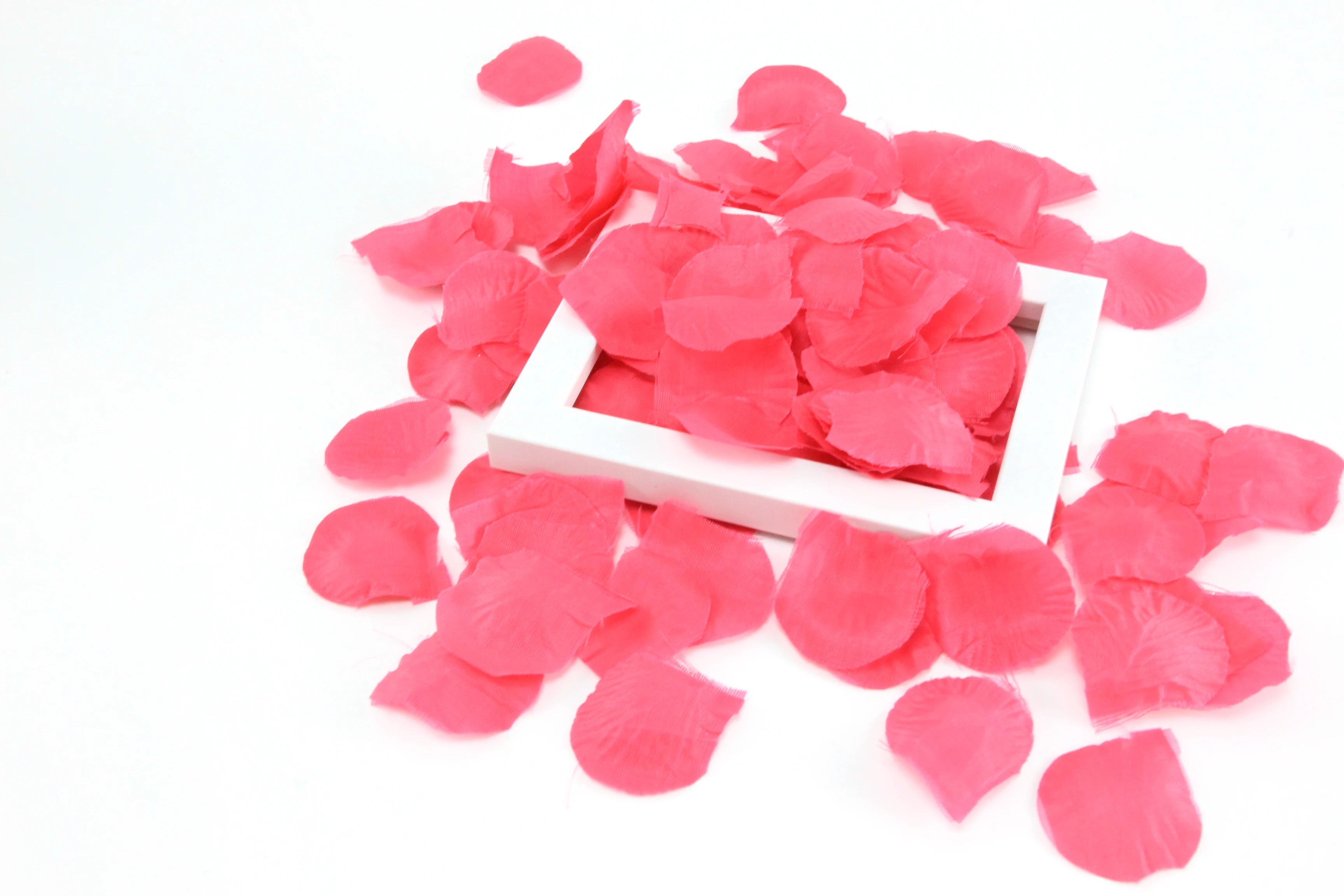 New Design party popper New Compressed Air streamers biodegradable personalised wedding streamer confetti cannon Without Fire