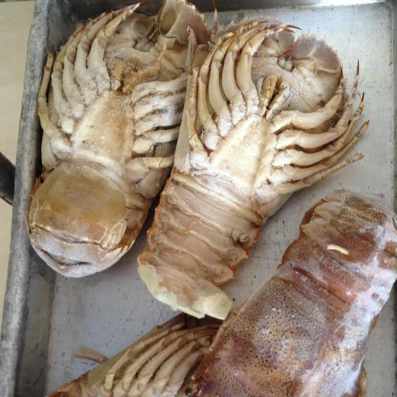 
Frozen IQF Slipper Lobster In Viet Nam 