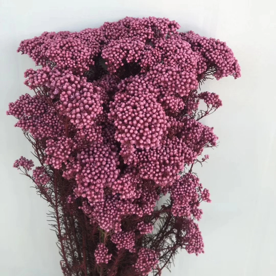 Dry Rice flower preserved millet flower bouquet wholesale