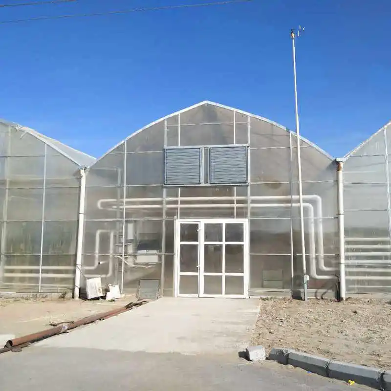 2024 pc sheet greenhouse for agriculture growing mushroom made in China
