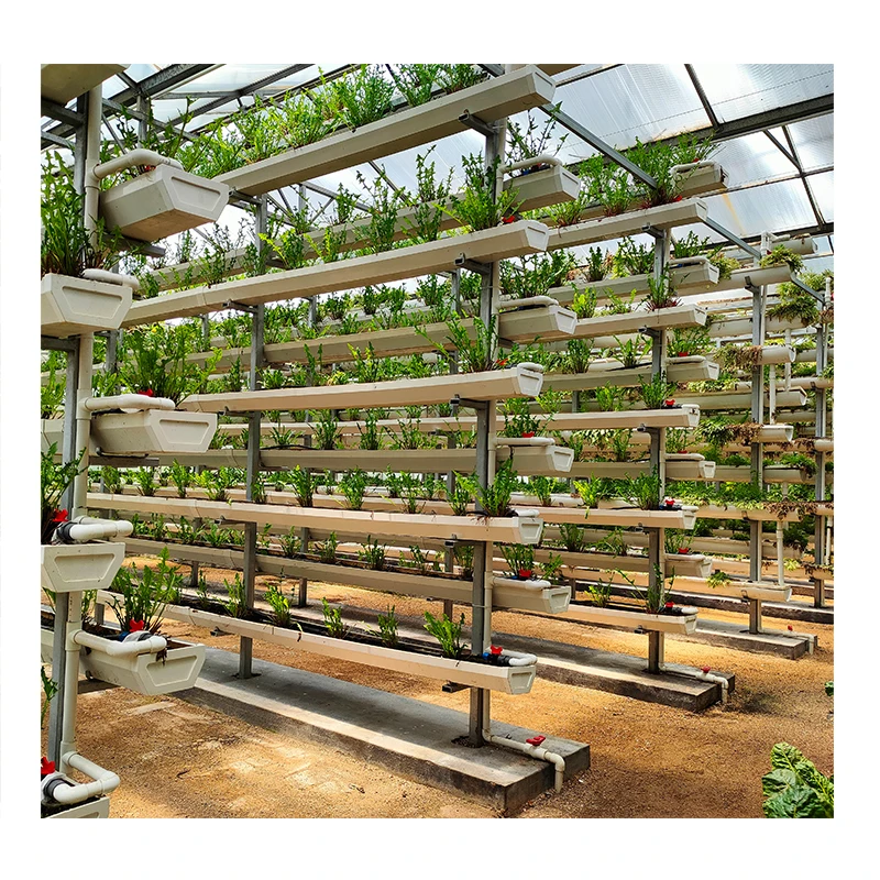 Agriculture NFT lettuce hydroponic growing systems Aeroponics  vertical for greenhouse farm
