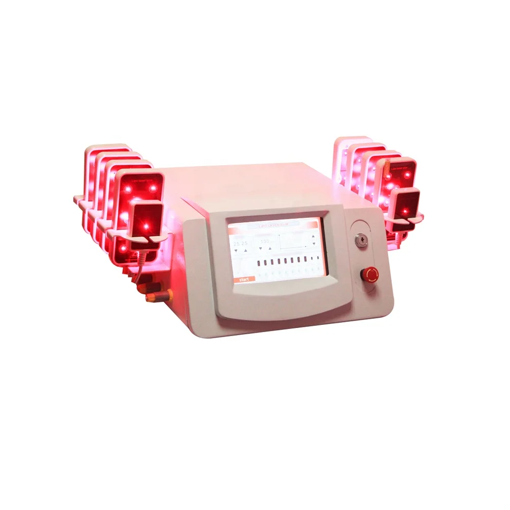 sole distributors wanted 4d strawberry lipo laser massage diode slimming machine weight loss