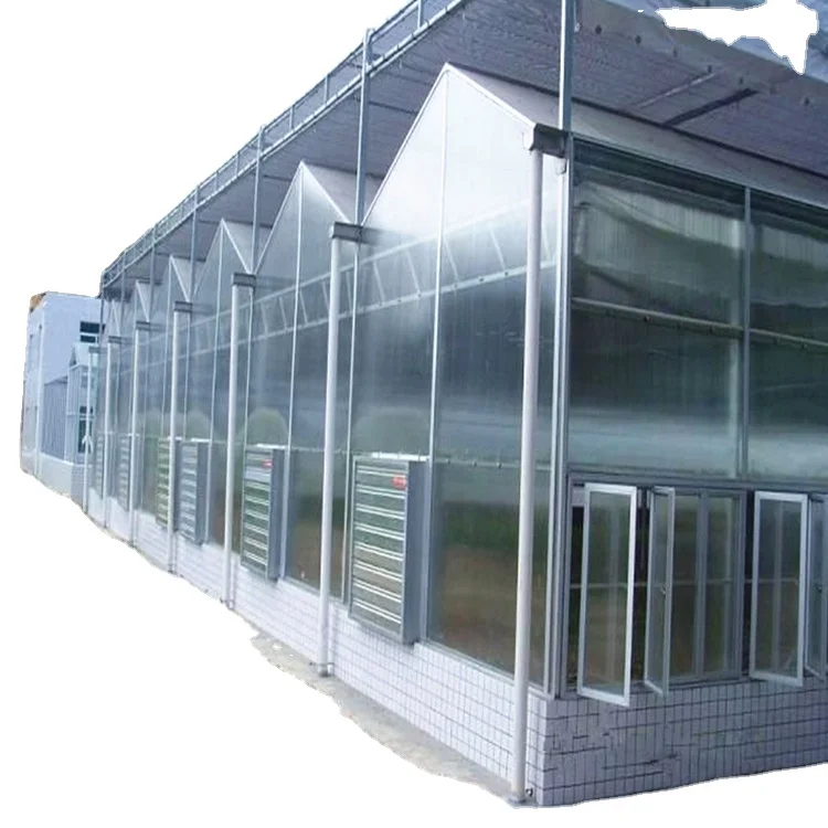 Hot Selling Modern Large Economical Polycarbonate Greenhouse Galvanized Steel Frame Hydroponic Vegetable Growing Agriculture Use
