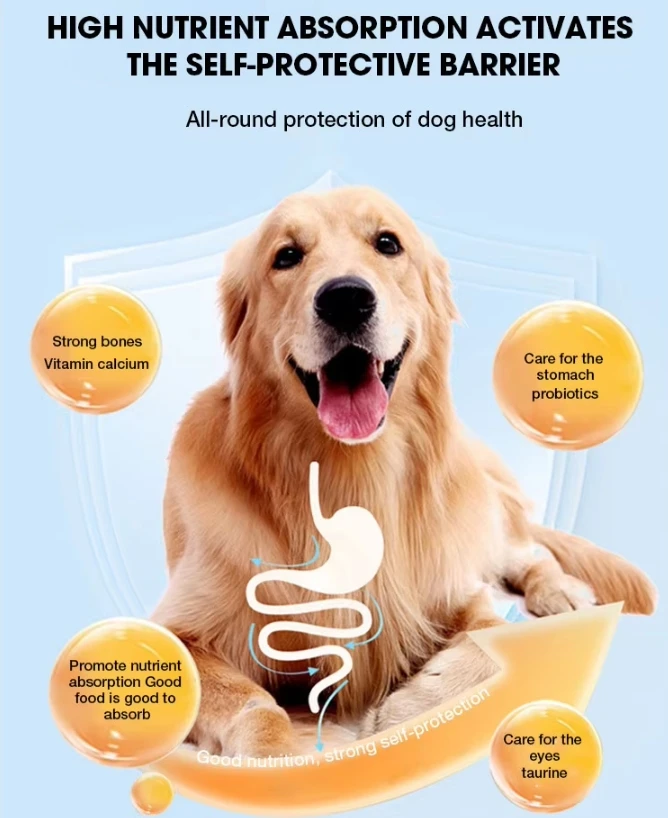 Wholesale Cheap Price High Quality Special Dog Food Premium Natural Healthy Organic High Protein Dry Dog Food