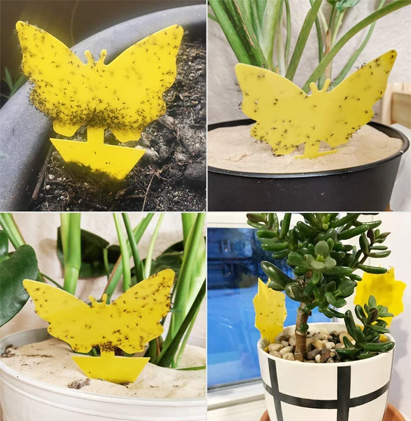 Popular Wholesale Price Yellow Sticky Trap Fly Paper