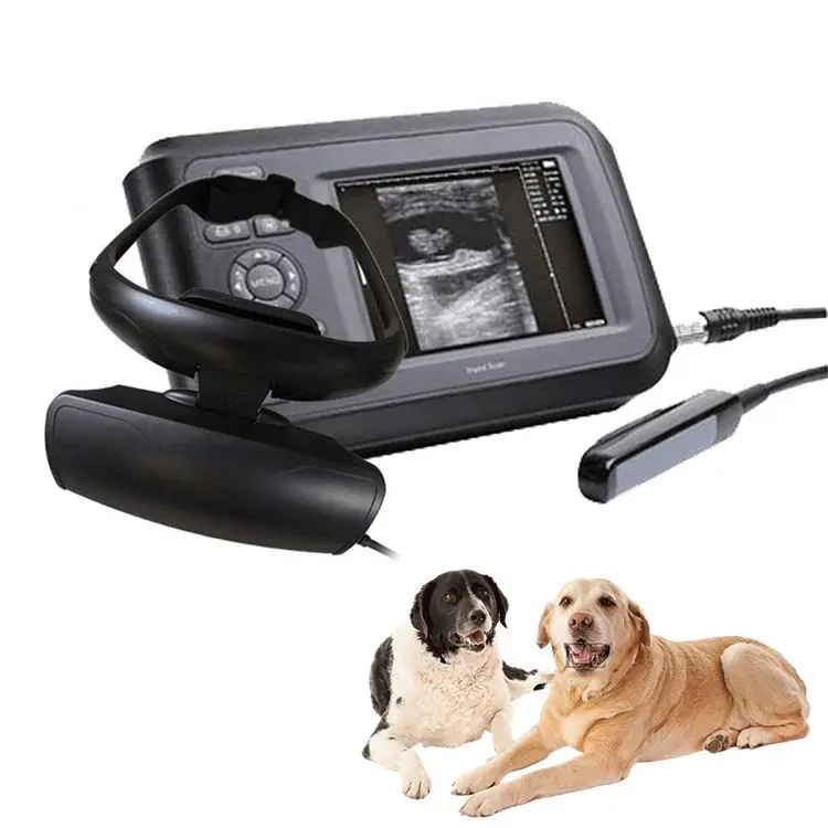 !!!EN VENTA!!! Ecografo Portatil de Vet de Animales Vet Ultrasound 2D 3D