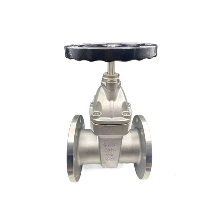 ss316 pn16  flanged stainless steel  ductile iron gate valve
