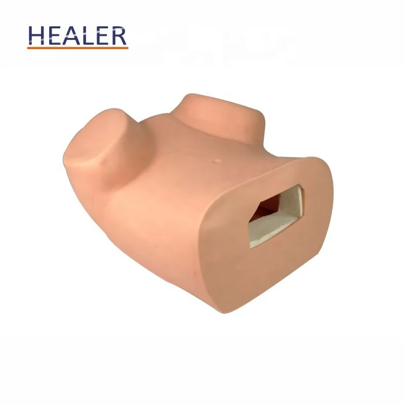 Модель гинекологического обследования, модель женских гениталий, гинекологический обучающий манекен