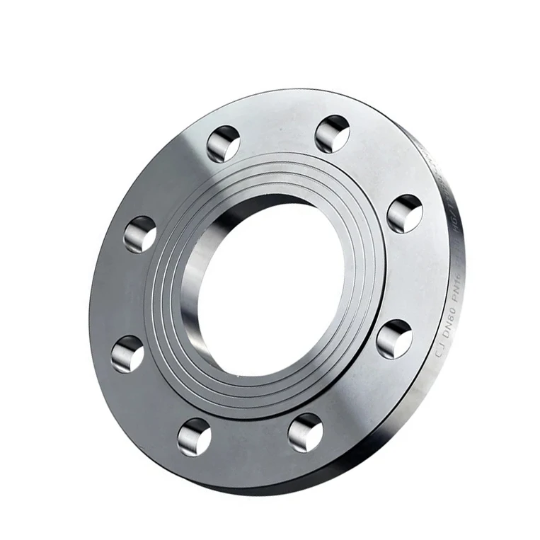 DN20-DN200 din Standard ss plate Forged flange