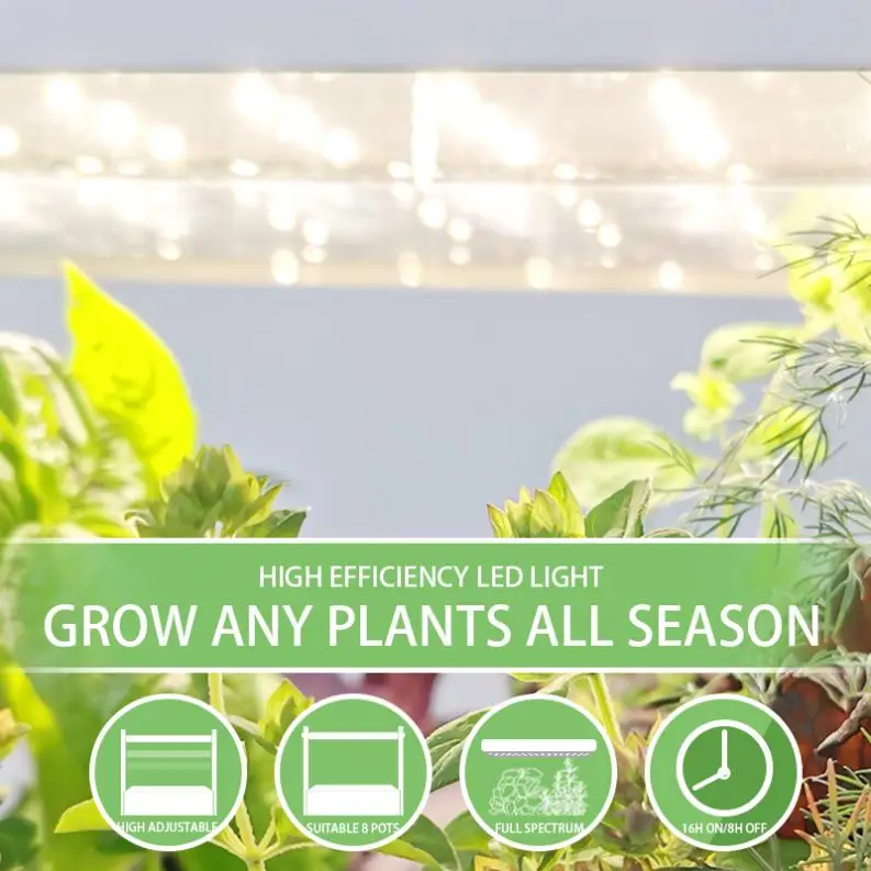 J&C Minigarden Fawnel high quality home garden grow kit indoor system wooden indoor herb planter 2022