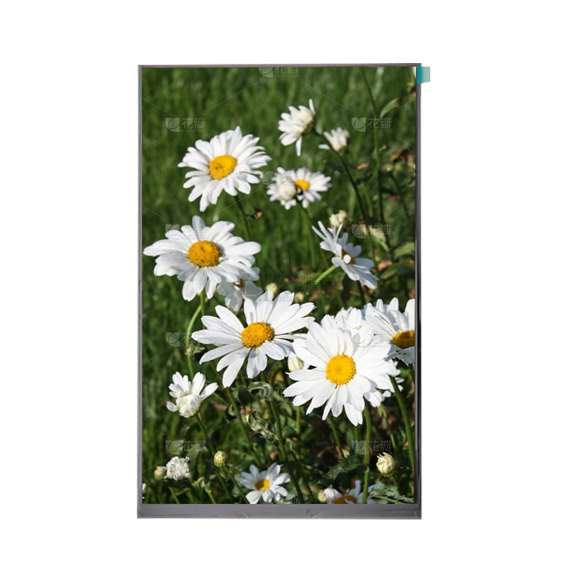 10.1 inch capacitive touch screen Factory Price TFT LCD 1280*800 MIPI 10.1 inch capacitive touch screen